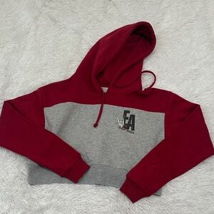 🦋 Boxercraft Cropped Hoodie